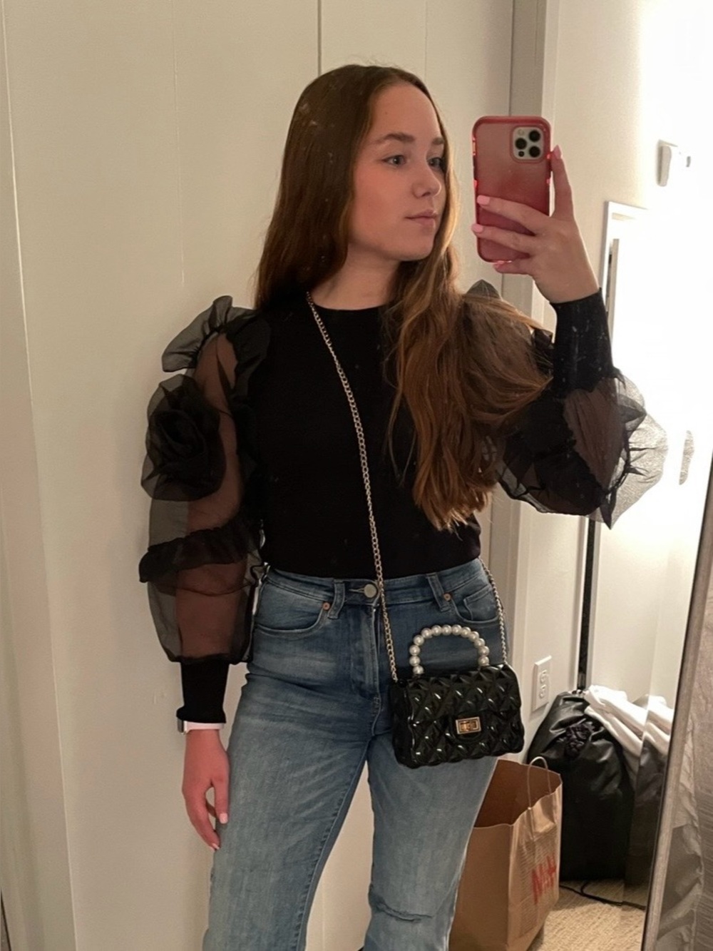 Zara Sheer Rose Sleeve Top